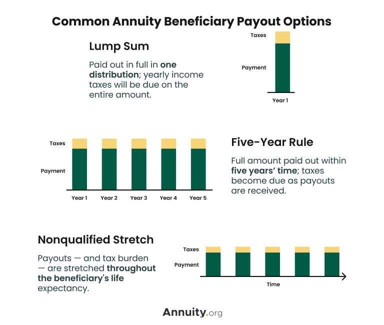 Infographic showing the different types of annuity payout options