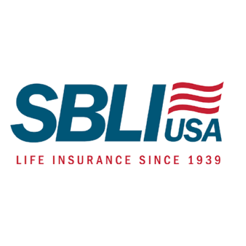 Thumbnail version of SBLI USA logo